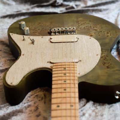 GB Liuteria Traditional Tele vegatrem - green poplar image 21