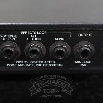 Rockman Sustainor Model 100 image 7