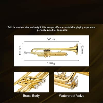 Bb Standard Trumpet, Student Trumpet Set for Beginner, Brass Trumpet Instrument with Hard Case, Cleaning Kit, 7C Mouthpiece and Gloves, Ideal Gift for School Band Orchestra image 2