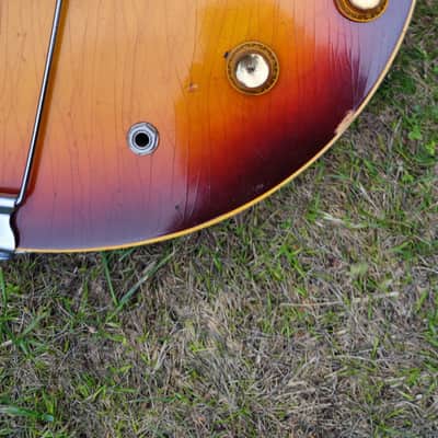 Gibson ES335 1965 - Burst image 1