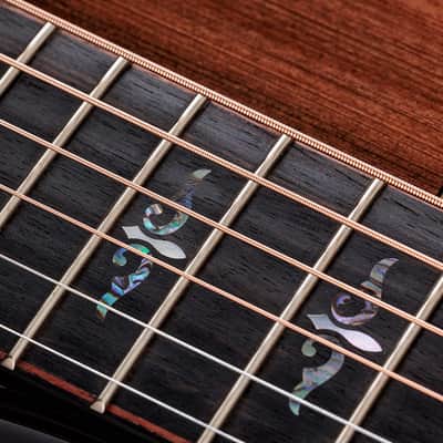 Taylor Next Generation Builder's Edition 914ce, Sinker Redwood Top, Honduran Rosewood Back & Sides Expression System 2 Electronics with Case,2026 image 17