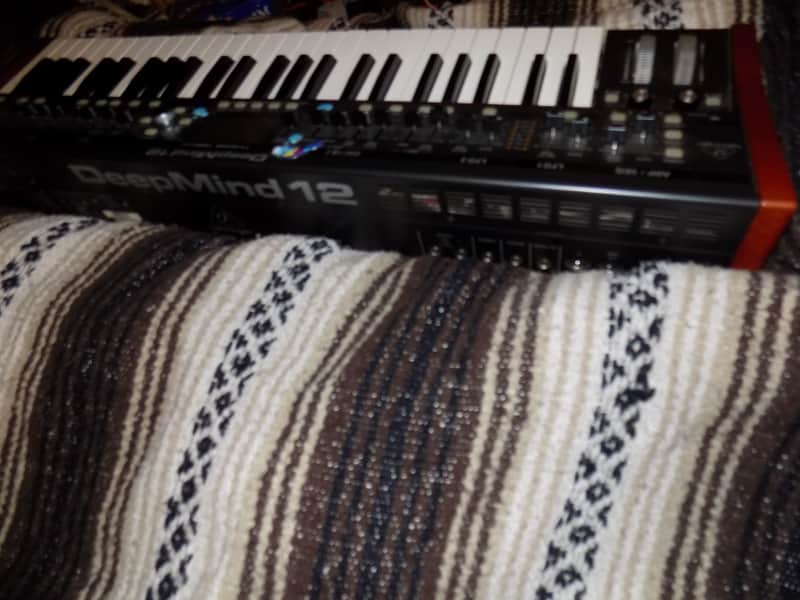 Behringer DeepMind 12 49-Key 12-Voice Polyphonic Analog Synth 2016 - Present - Black