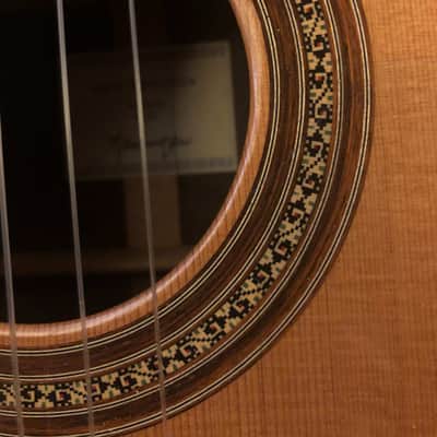 Kolya Panhuyzen Classical Guitar 2012 Cedar/Ziricote image 6