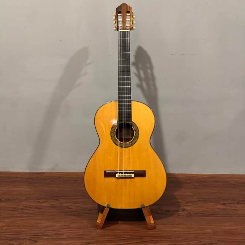 Antonio Picado 62 2011 image 1