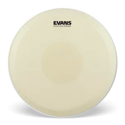Evans Tri-Center Extended Collar Conga Drum Head, 11.75 Inch image 1