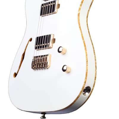 Chapman Chris Robertson Signature SAR63 Semi-Hollow #H23120137 image 5