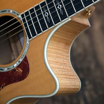 Immagine Taylor 614ce - Solid Maple / Spruce / Ebony - 9