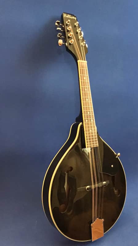Ashbury Mandolin w/Case image 1