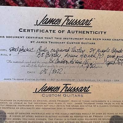 James Trussart Steelphonic 2022 - Rusty Cream on Paisley image 11
