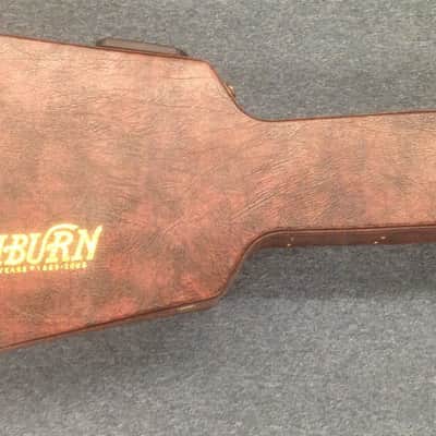 New Washburn Vintage Series WSJ124K Acoustic Guitar with Hard Shell Case image 10