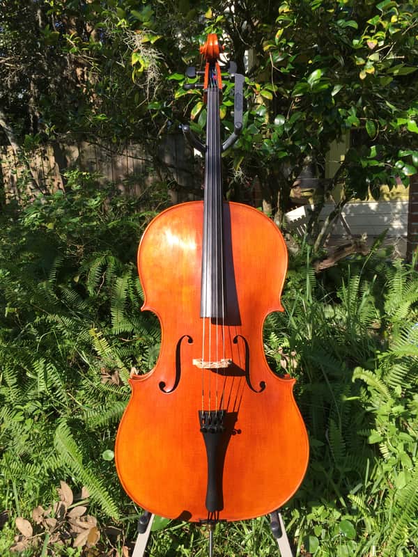 Tenor Violin (half-size cello tuned GDAE) image 1