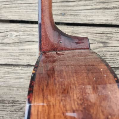 Recording King RD-06 Solid Top with mods. image 9