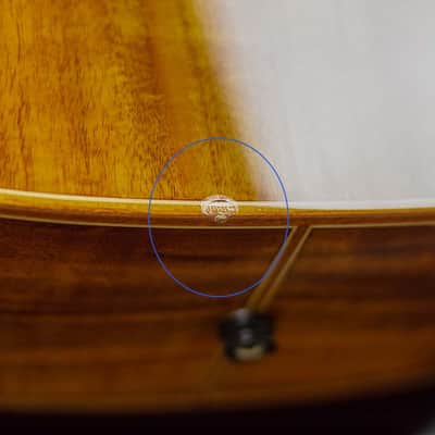 Washburn Comfort G55CE Koa image 14