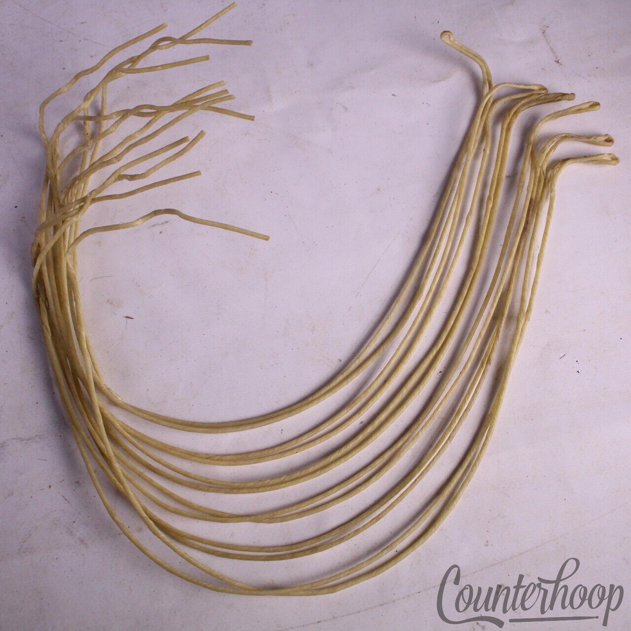 Ludwig Catgut(Sheep)Natural 15"Snare Drum Wires/12x 19" Strands Vintage Cat Gut — main photograph