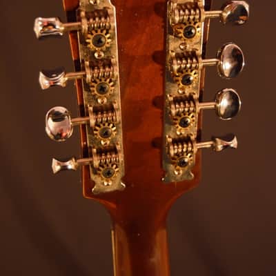 Ventura Mandolin – Excellent Condition! image 3