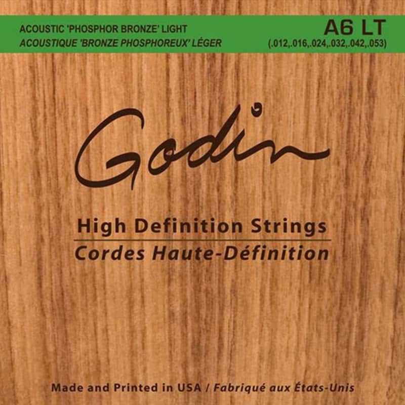 Acoustic Custom Godin image 1