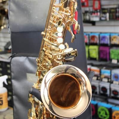 Selmer La Voix Alto Sax w/Original Case & 2 Mthpcs; Dukoff & Otto Link image 5