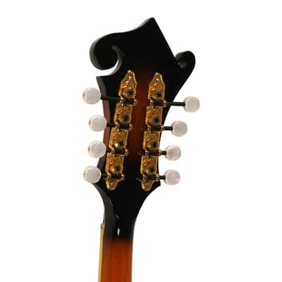 Gold Tone Mastertone™ GM-70+: F-Style Mandolin with Case image 7