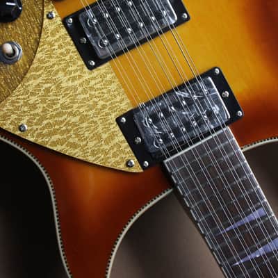 Fishbone FTP-BURG-12- String Electric Solid Body Guitar 2013 Burgundy Burst Make an Offer image 16