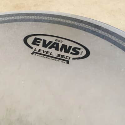 Evans USA EC2 LEVEL 360 Pinstripe Hazy Black Stripe Drum Head A D’addarrio Innovation image 9