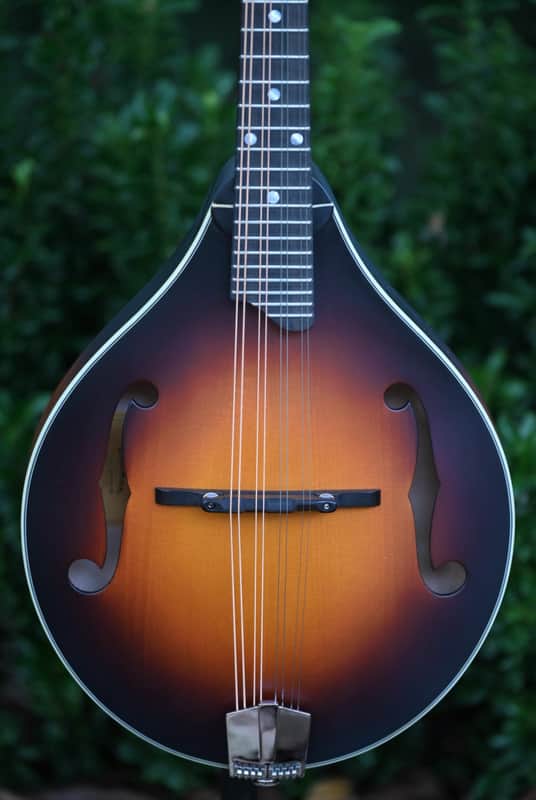 Eastman MD305E - Sunburst image 1