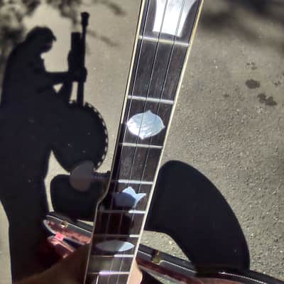 Vega Pro II 5 string banjo 1968 - Maple back image 19