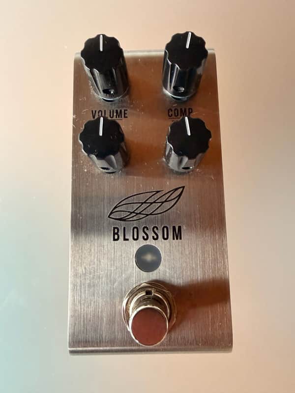 Jackson Audio Blossom