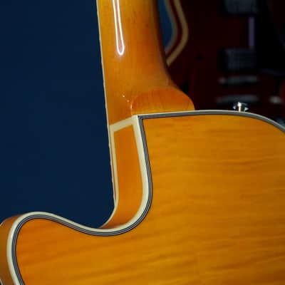 Duesenberg Star Player TV Honey 2018 image 17