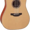 Takamine  P3DC12