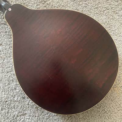 Sunburst 8 String Mandolin Project, Spruce Top, Mahogany Body, Rosewood Fingerboard image 12