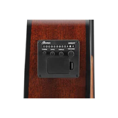 Ibanez AEGB24E-BKH Black High Gloss - Acoustic Bass image 9