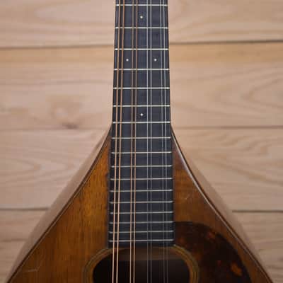 Martin Mandolin 1921 - Natural image 3