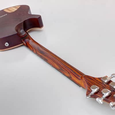 Alejandro Ramirez o3 Iodine Semi-Hollow image 8
