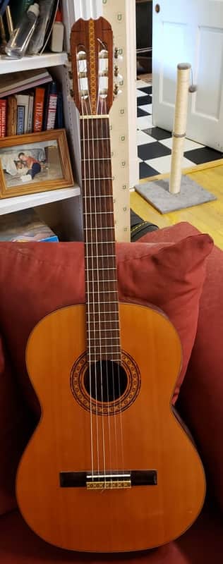 エピフォンミシガン EC-20 マツモク製 70年代　クラシックギター Epiphone EC-20 Blue Label Japan Classical Guitar | Reverb