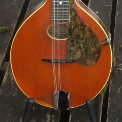 Gibson A-3 Mandolin 1915 image 1