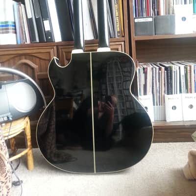 Washburn Ea200 12 string /6 string Black image 3