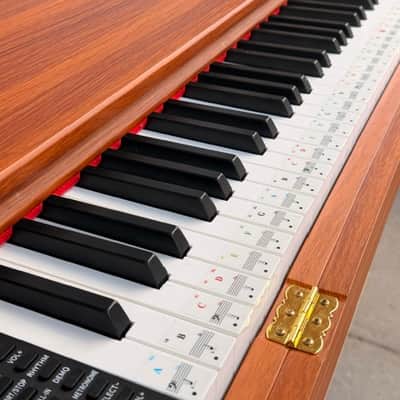 Unbranded Full Size Electric Piano with Sustain, Legs and Hardware image 5