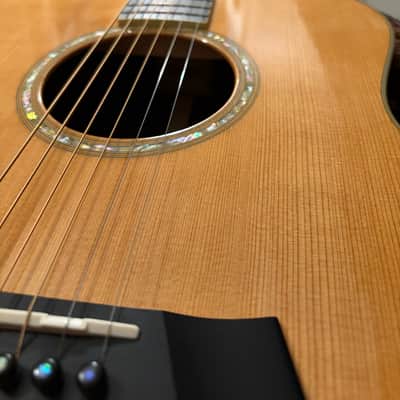 Taylor GS7 2006 - Natural image 10