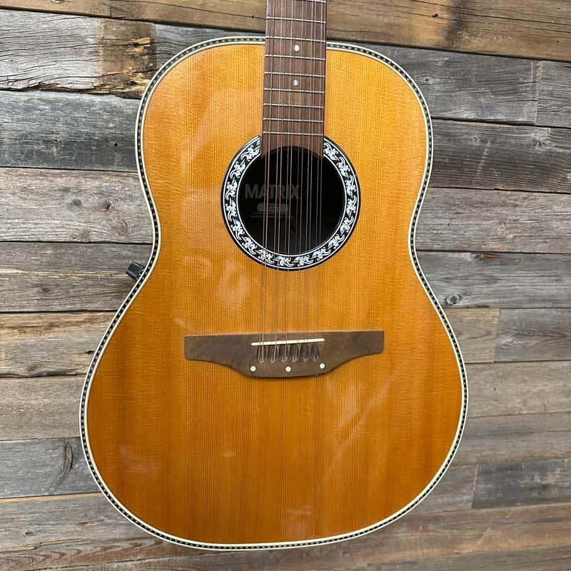 *Video Demo* Matrix Rare Made in USA Acoustic Electric 12 String w/ Case image 1