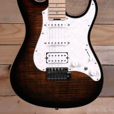 ESP Snapper CTM Electric Guitar Tiger Eye Sunburst w/ Case image 1
