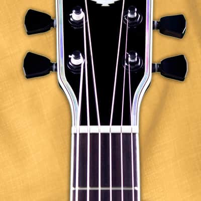 Esteban American Legacy Starlight Limited Edition Acoustic Electric Guitar Blue Sparkle image 14