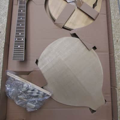 Saga AM-10 Build Your Own Mandolin Kit Build Kit image 2