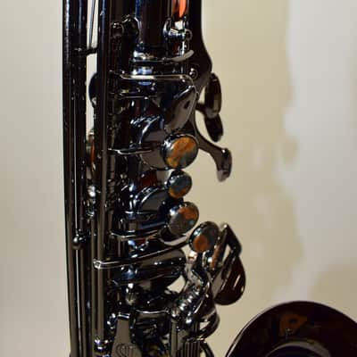 Cannonball A4 Big Bell Stone Series Standard Alto Saxophone, Polished Black Nickel w/ Case image 10