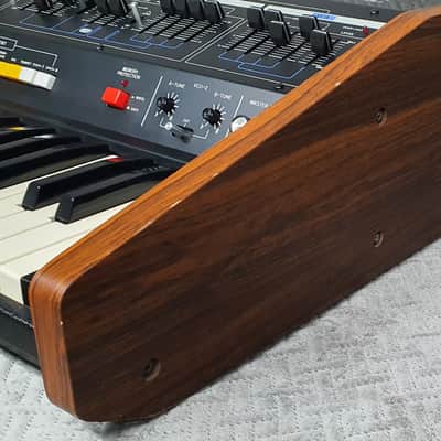 Roland MRS-2 ProMars ✅ Ultra-Rare 70s Monophonic Titan ✅ The Legendary Dual-VCO Promars ✅ Fully Checked & Cleaned ✅ Raw & Screaming Analog Power ✅ Worldwide Shipping image 13
