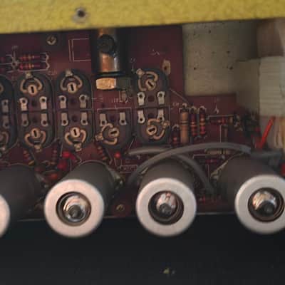 Binson Echorec 2 T7E 1960/1969 image 12