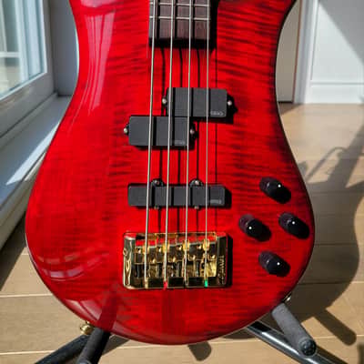 Spector Euro 4LX 2023 - Black Cherry Gloss image 6