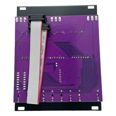 Maneco 16 Seconds Digital Delay Eurorack Module image 2