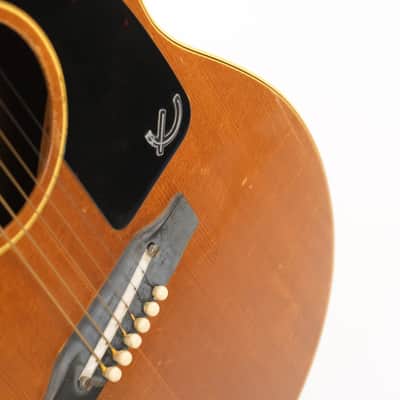 Epiphone Cortez Acoustic Guitar Owned by Tom Renaud of Lord Huron image 21