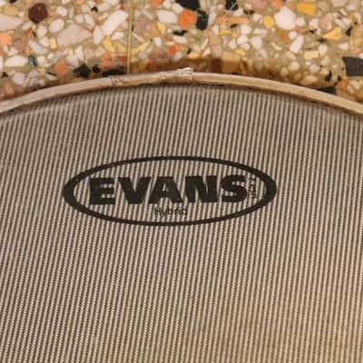 Evans 14" Hybrid Marching Drum Head image 2