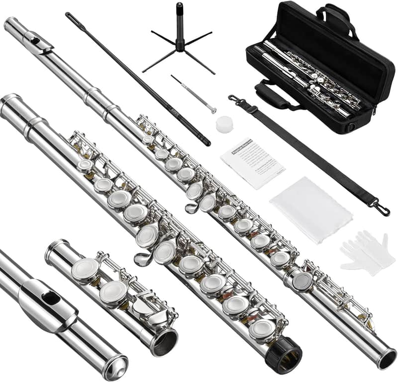 POGOLAB Closed Hole C 16 Keys Flute Instrument Kitchen Student Flute for Beginner Advanced Player image 1